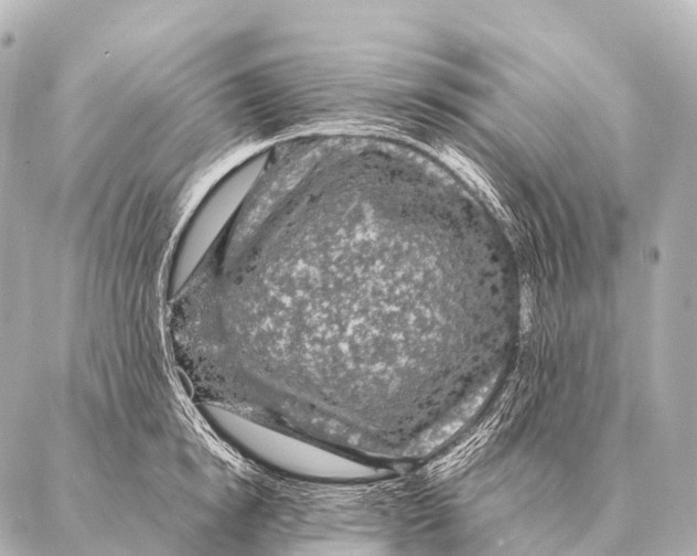 X0000087020854200705141854