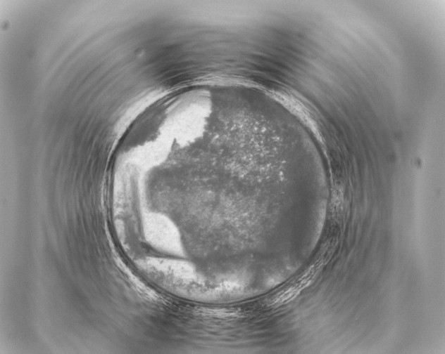 X0000087020855200705141854