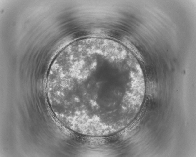 X0000087020856200705141855