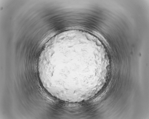 X0000087020857200705141855