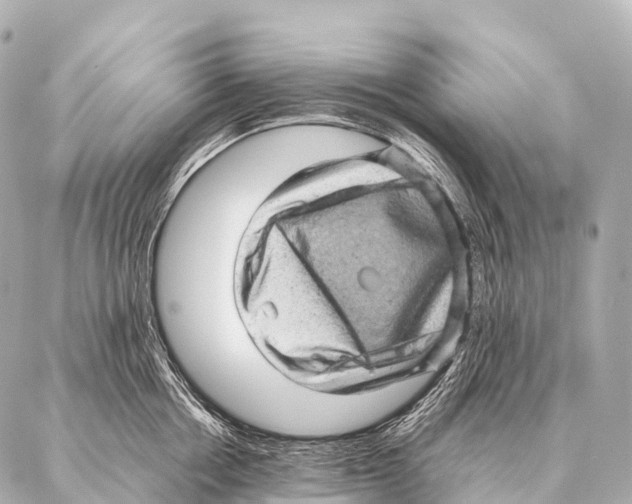 X0000087020858200705141855