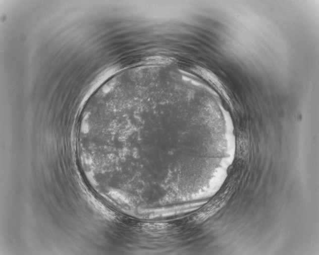 X0000087020859200705141855