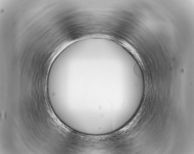 X0000087020860200705141855