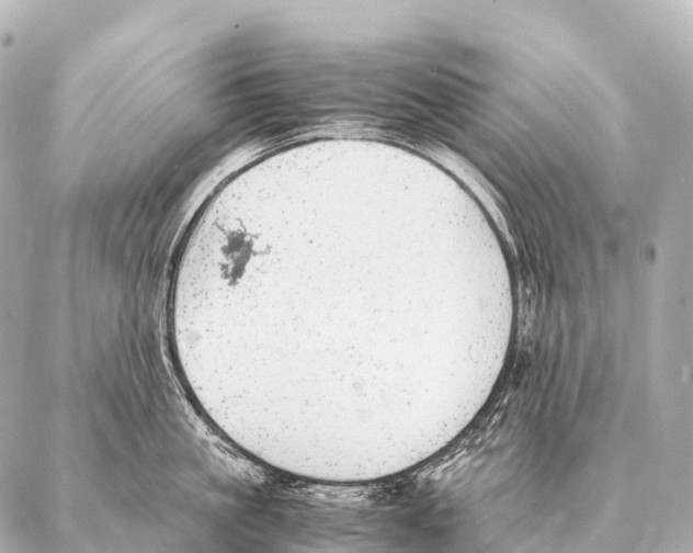 X0000087020861200705141855