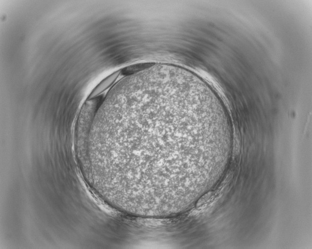 X0000087020862200705141855