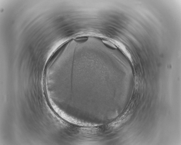 X0000087020863200705141855