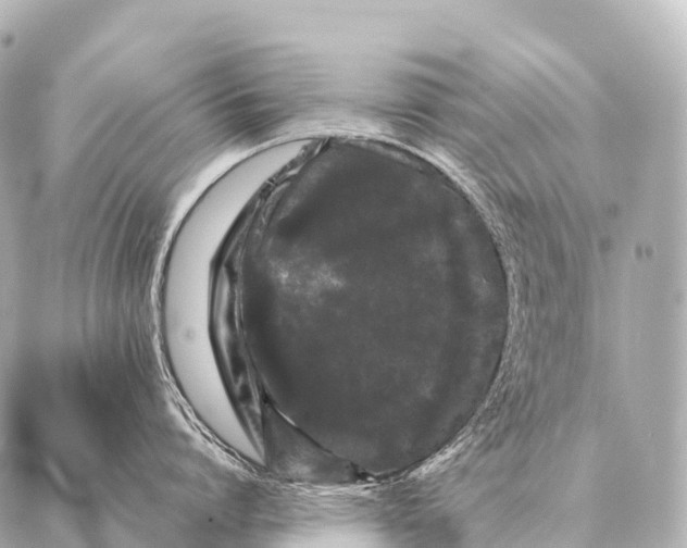 X0000087020864200705141855