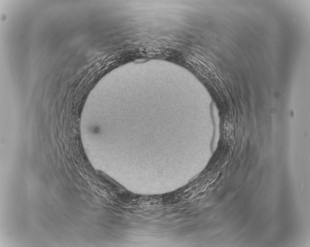 X0000087020865200705141854