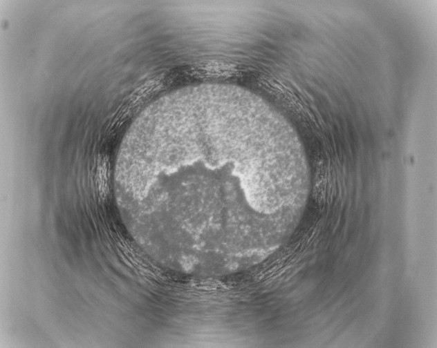 X0000087020866200705141854