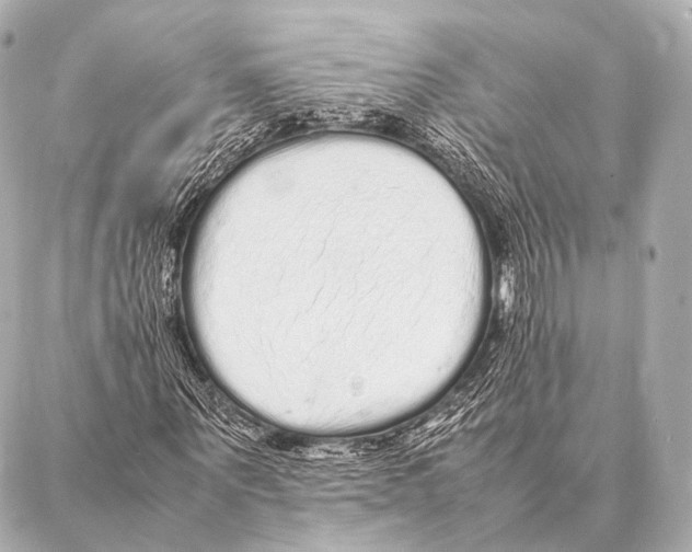 X0000087020867200705141854