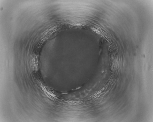 X0000087020868200705141854