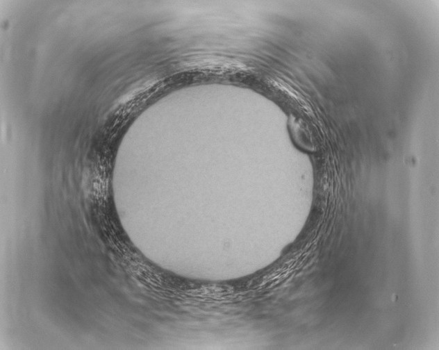 X0000087020869200705141854