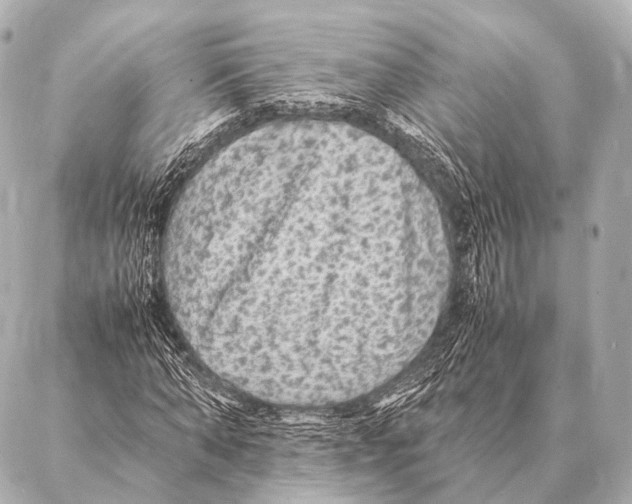 X0000087020870200705141854