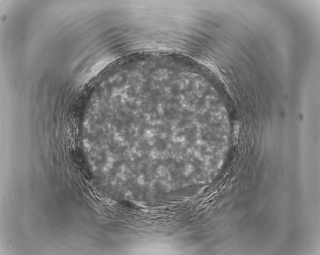 X0000087020871200705141854