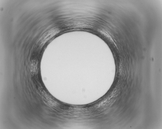 X0000087020873200705141854