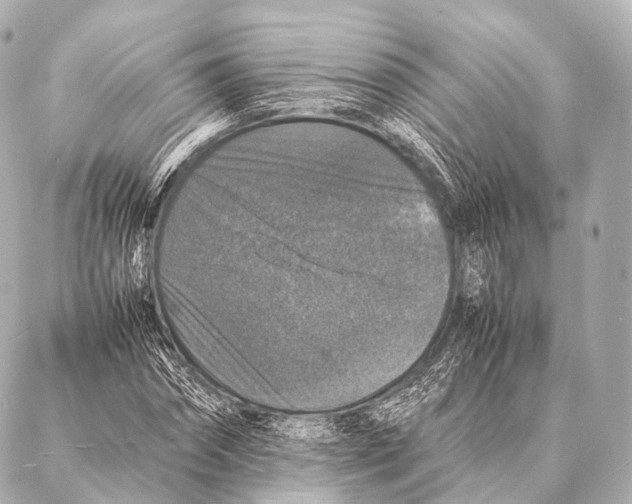 X0000087020874200705141854