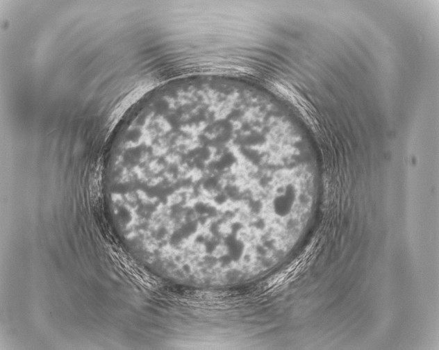 X0000087020875200705141854