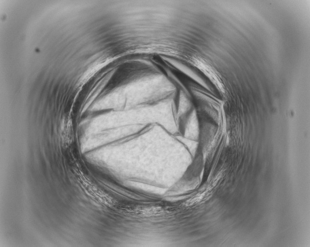 X0000087020876200705141854