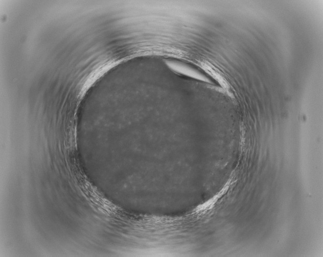 X0000087020877200705141854