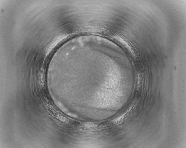 X0000087020878200705141854