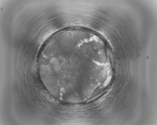 X0000087020879200705141854