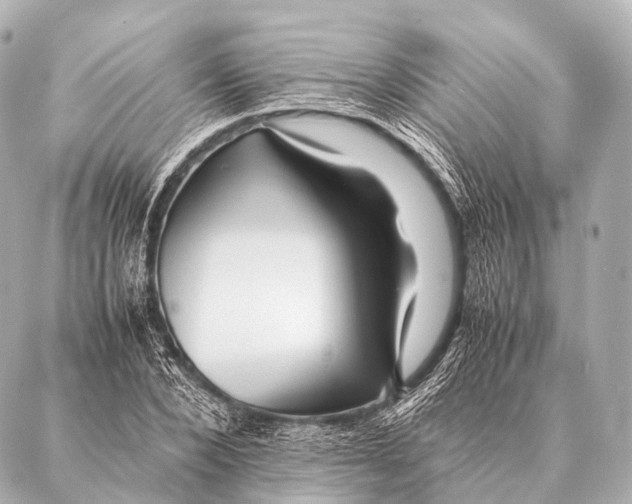 X0000087020880200705141854