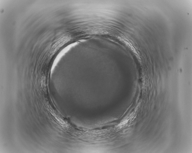 X0000087020881200705141854