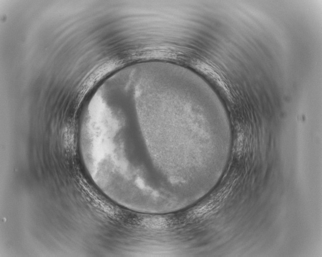 X0000087020882200705141854