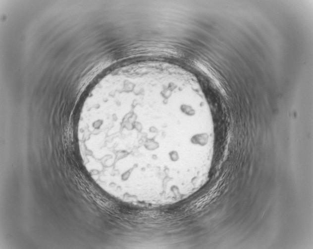 X0000087020883200705141854