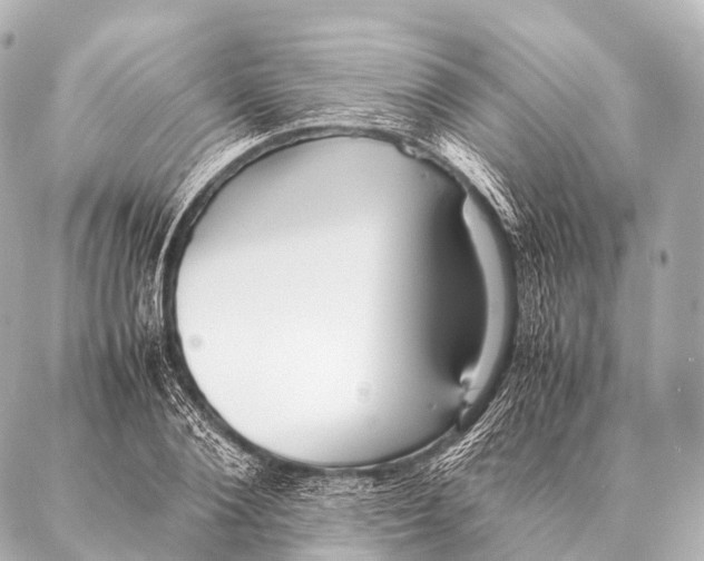 X0000087020884200705141854