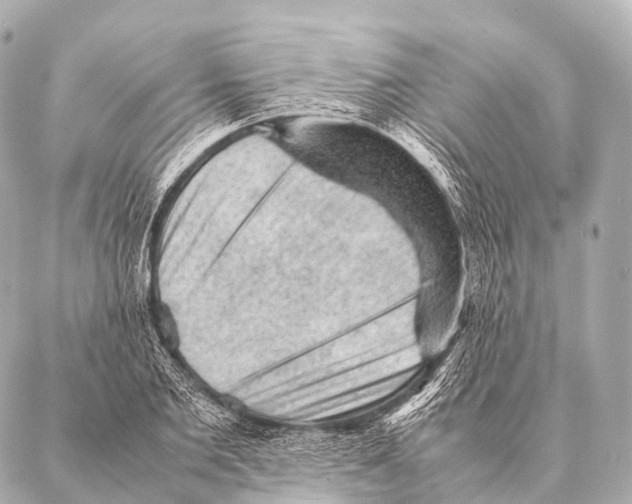 X0000087020885200705141854