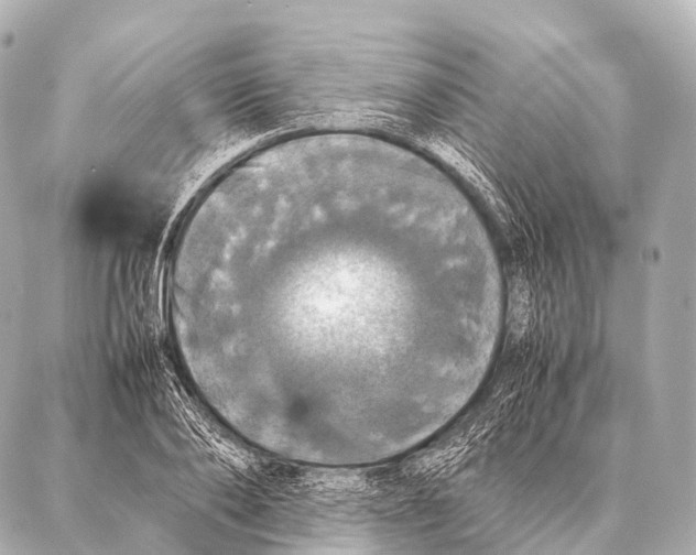 X0000087020886200705141854