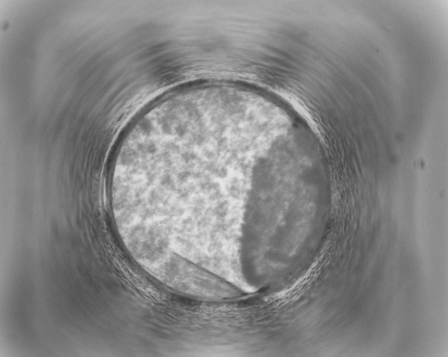 X0000087020887200705141853