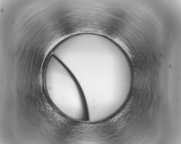 X0000087020888200705141853