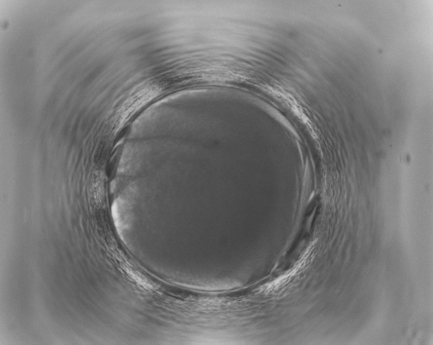 X0000087020889200705141853