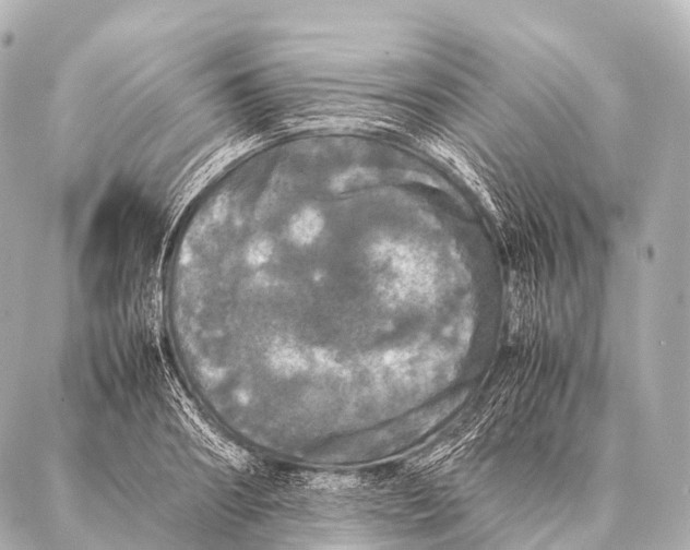 X0000087020890200705141853