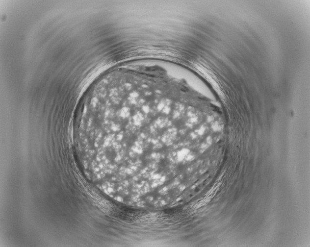 X0000087020891200705141853