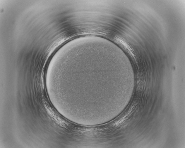 X0000087020892200705141853