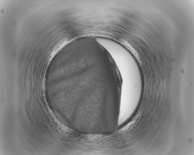 X0000087020893200705141853