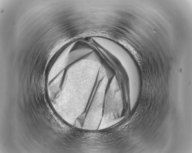 X0000087020894200705141853