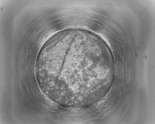 X0000087020895200705141853