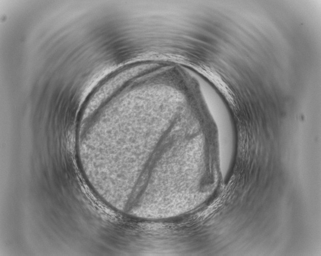 X0000087020896200705141853