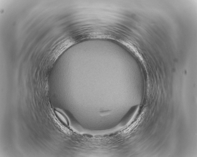 X0000087020897200705141853