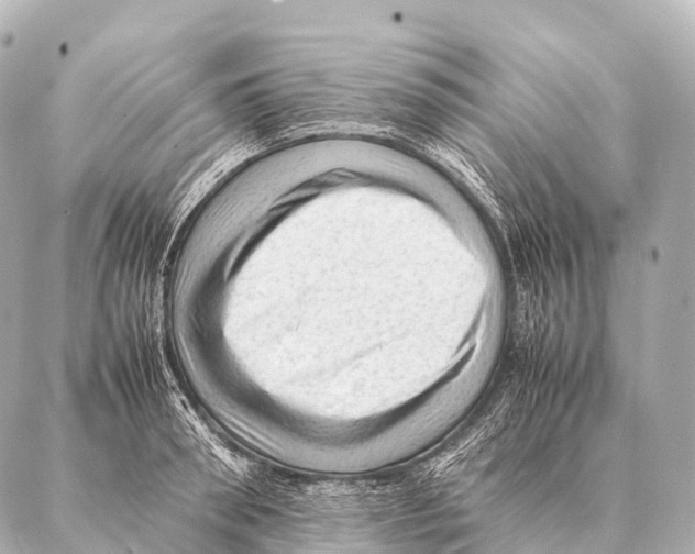 X0000087020898200705141853