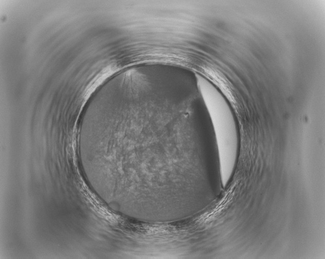 X0000087020899200705141853