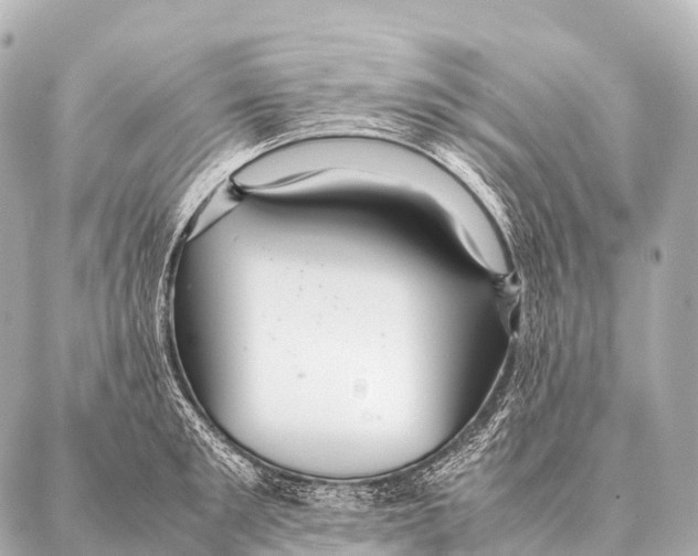 X0000087020901200705141853