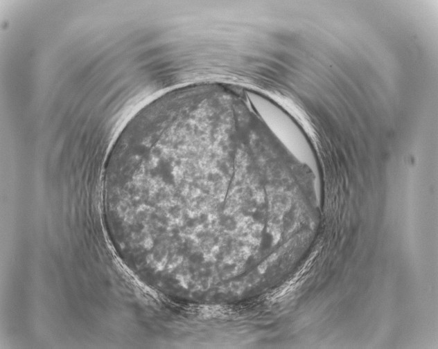 X0000087020903200705141853