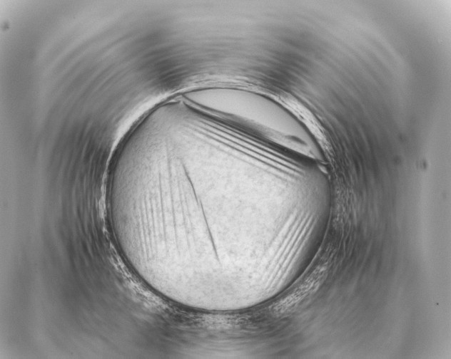 X0000087020904200705141853