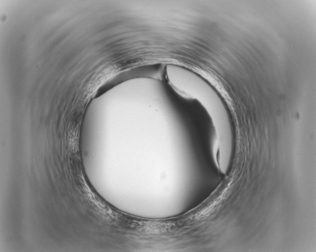 X0000087020905200705141853