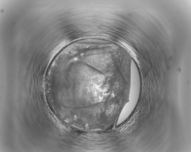 X0000087020907200705141853